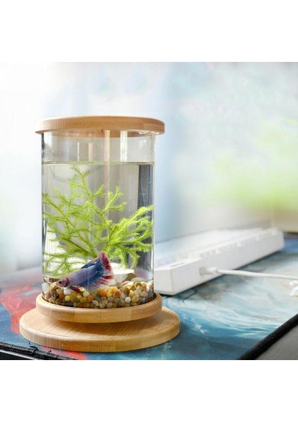 Küçük Ofis Cam Akvaryum Bambu Tabanlı Mini Balık Tankı Dekorasyonu Balık Kasesi (Yurt Dışından) modelleri