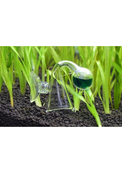 Denetleyicisi ve 15ML Tarzı Tek Boyut Balık Tankı Co2 Su Canlı Yosun Bitkisi Akvaryum Notları Cam Damlalık Kontrol Cihazı Karbondioksit Ph Topu Uzun Süreli Gösterge Monitör Test Cihazı (Yurt Dışından) indirimleri