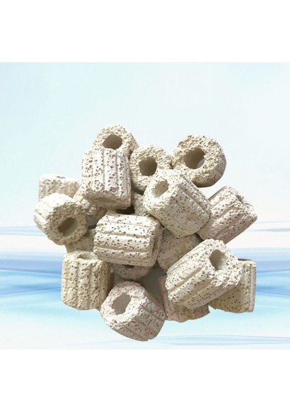 Kırmızı Stil 2CMX2CM 100G Akvaryum Filtre Doğal Mineraller Halka Biyolojik Filtre Baterial Ev Balık Tankı Filtre Medyası (Yurt Dışından) fiyatları