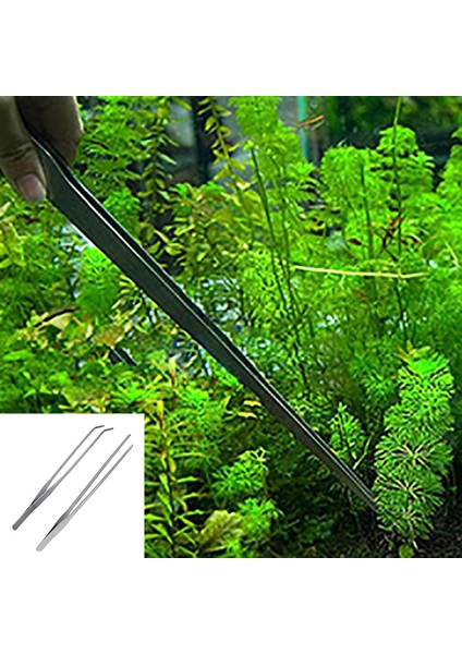 1 Adet Düz Stil 27CM Akvaryum Tankı Akvascape Araçları Akvaryum Cımbız Aracı Paslanmaz Çelik Su Bitkileri Cımbız Aracı Akvaryum Bakımı Için (Yurt Dışından)