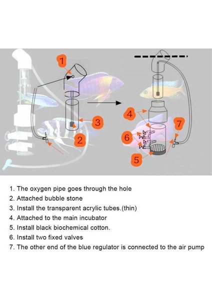 25X5CM Dayanıklı Akrilik Yumurta Inkübatörü Balık Inkübatörü Yumurta Yavrulayıcı Akvaryum Için (Yurt Dışından) modelleri
