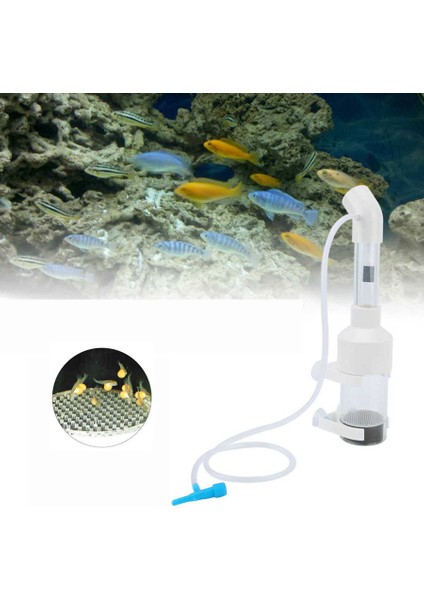 25X5CM Dayanıklı Akrilik Yumurta Inkübatörü Balık Inkübatörü Yumurta Yavrulayıcı Akvaryum Için (Yurt Dışından) fırsatları