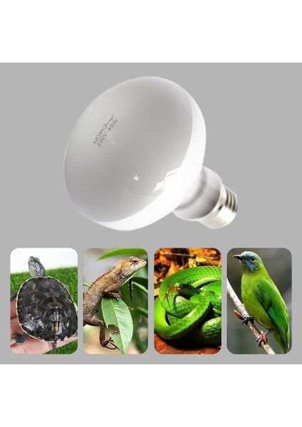 25W Tarzı Sürüngen Kaplumbağa Isıtma Lambası 220V Su Geçirmez Gün Işığı Lambası Aquarium Sıcaklık Kontrol Cihazı (Yurt Dışından)