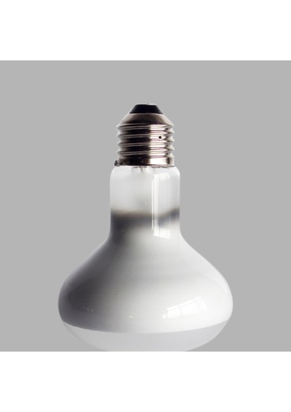 25W Tarzı Sürüngen Kaplumbağa Isıtma Lambası 220V Su Geçirmez Gün Işığı Lambası Aquarium Sıcaklık Kontrol Cihazı (Yurt Dışından)