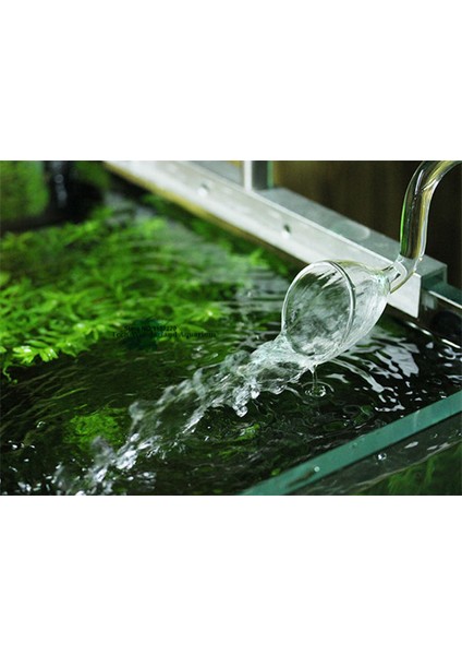 Tüp Fırça Stili M Beden Akvaryum Camı Giriş Çıkış Zambak Borusu Filtre Hortumu Seti (Yurt Dışından) modelleri