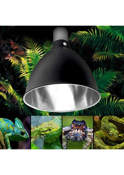 Avrupa Düzenlemeleri Tarzı Kırmsi Kızılötesi Uva Uvb Lamba Gölgelikli Seramik Isıtıcı E27 Için Sürüngenler (Yurt Dışından) fırsatları