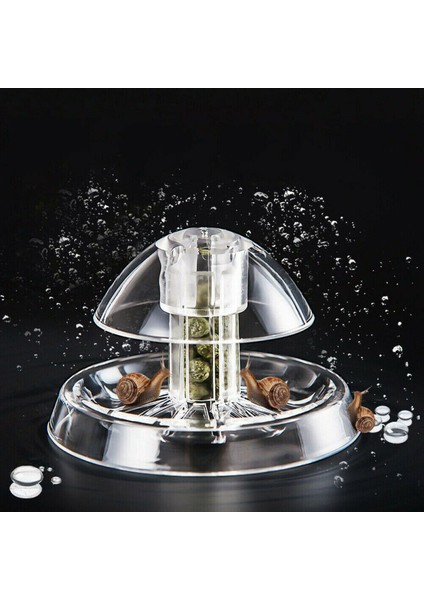 1 Adet Tarzı 6cm Akvaryum Aksesuarı Plastail Tuzak Yakalayıcı Sülük Planaria Zararlı Yakalama Kutusu Akvaryum Temizliği Için Akvaryum Ortamı Temizleyici (Yurt Dışından) fiyatları