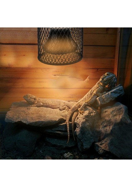 Abd 110V Tarzı Ev Evcil Hayvan Sürüngen Için Kızılötesi Seramik Isıtma Lambası 110V 220V Isı Emici Işık Ampulü Anti-Yanık Lamba Standı ile (Yurt Dışından) indirimleri