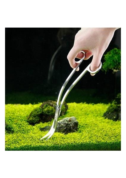 Gümüş Tarzı L Beden 10'' Sucul Akvaryum Su Yosunu Aracı Paslanmaz Çelik Klipsli Veya Kıvrık Dalga Ot Tesoura Temizleme Tijera Bitki Tankı Su (Yurt Dışından)