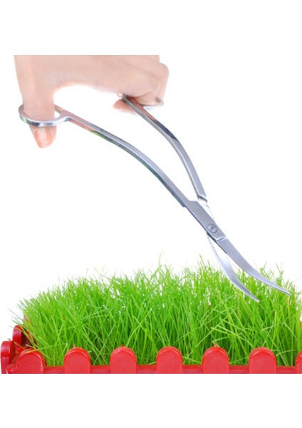Gümüş Tarzı L Beden 10'' Sucul Akvaryum Su Yosunu Aracı Paslanmaz Çelik Klipsli Veya Kıvrık Dalga Ot Tesoura Temizleme Tijera Bitki Tankı Su (Yurt Dışından) modelleri