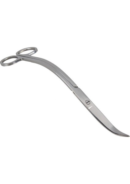 Gümüş Tarzı L Beden 10'' Sucul Akvaryum Su Yosunu Aracı Paslanmaz Çelik Klipsli Veya Kıvrık Dalga Ot Tesoura Temizleme Tijera Bitki Tankı Su (Yurt Dışından) fırsatları