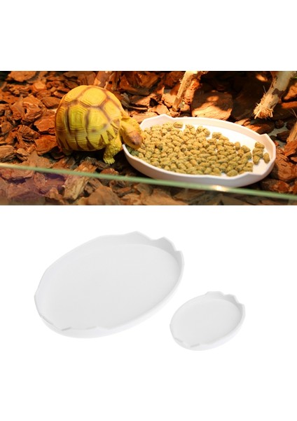 Beyaz Stil S Beden Kaplumbağa Yılan Sürüngen Teraryum Içme Yem Su Kabı Kase Aracı (Yurt Dışından)