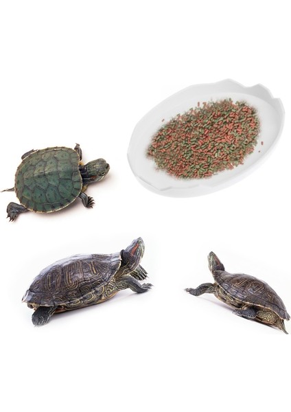 Beyaz Stil S Beden Kaplumbağa Yılan Sürüngen Teraryum Içme Yem Su Kabı Kase Aracı (Yurt Dışından)
