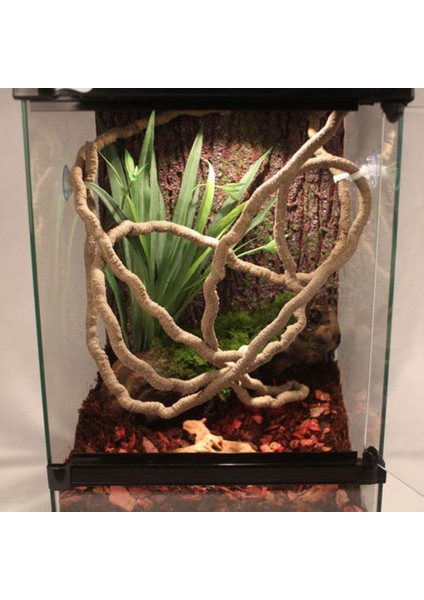 Yüksek Sürüngen Sarmalı Orman Esnek Terraryum Tırmanıcı Yerleşim 200CM Yapay Gerçekçi Dekor Sürüngen Esnek Sarmalı Yeni (Yurt Dışından) fiyatları