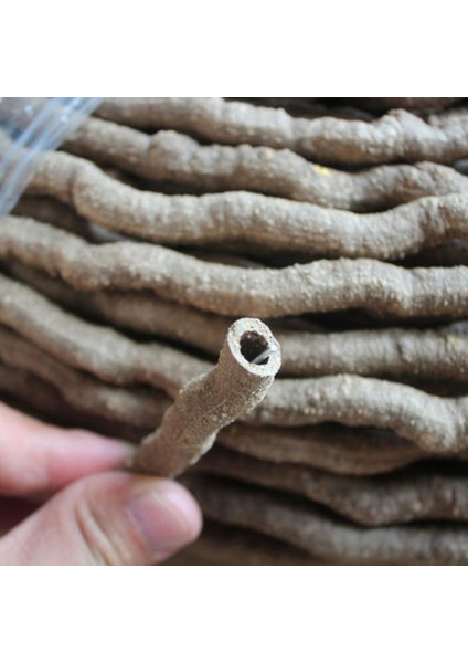 Yüksek Sürüngen Sarmalı Orman Esnek Terraryum Tırmanıcı Yerleşim 200CM Yapay Gerçekçi Dekor Sürüngen Esnek Sarmalı Yeni (Yurt Dışından) modelleri