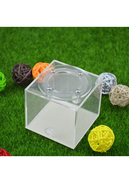 Gümüş Tarzı Güzel Deneme Tüpü Karınca Yuvası Akrilik Karınca Çiftliği Bambu Tüp Küçük Evcil Hayvan Malzemeleri (Yurt Dışından)