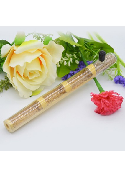 Gümüş Tarzı Güzel Deneme Tüpü Karınca Yuvası Akrilik Karınca Çiftliği Bambu Tüp Küçük Evcil Hayvan Malzemeleri (Yurt Dışından) indirimleri