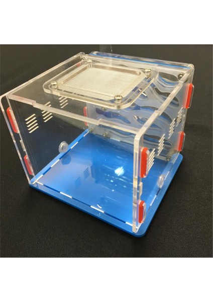 Yeşil Stil 13,5X10X10CM Karınca Yuvası, Karınca Çiftliği Akrilik, Böcek Karınca Yuvaları Villa Yeni Evcil Gelişmiş Mania Için Nemli Alan Dıy Kategori: Türkçe E-Ticaret Ürün Başlığı (Yurt Dışından) fiyatları