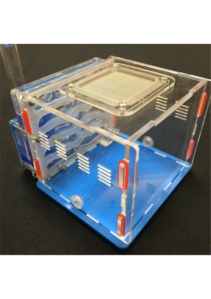 Yeşil Stil 13,5X10X10CM Karınca Yuvası, Karınca Çiftliği Akrilik, Böcek Karınca Yuvaları Villa Yeni Evcil Gelişmiş Mania Için Nemli Alan Dıy Kategori: Türkçe E-Ticaret Ürün Başlığı (Yurt Dışından) modelleri