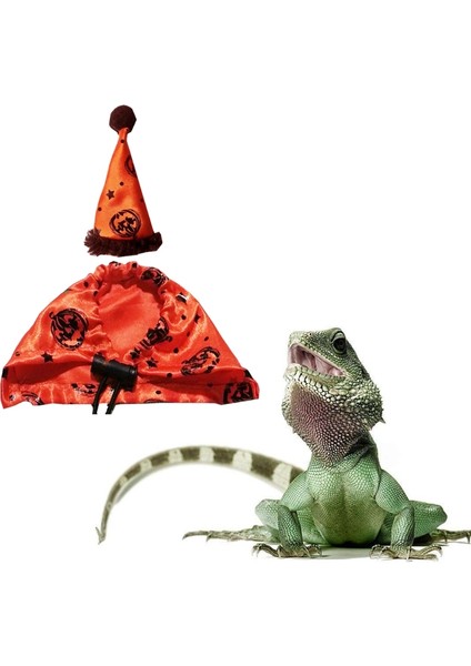 Bir Stil Kertenkele Kostümü Ayarlanabilir Kertenkele Şapka ve Pelerin Kürklü Evcil Hayvanlar Tatil Kostümü Aksesuarları (Yurt Dışından) indirimleri