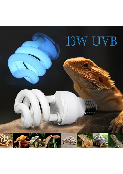 Uvb5.0 Stili Sürüngenler Lambası Ac Ultraviyole Uvb Vida Sıkıştırılmış Işık 5W E27 Ampuller Kaplumbağalar Yılanlar Isıtma Için (Yurt Dışından) fiyatları