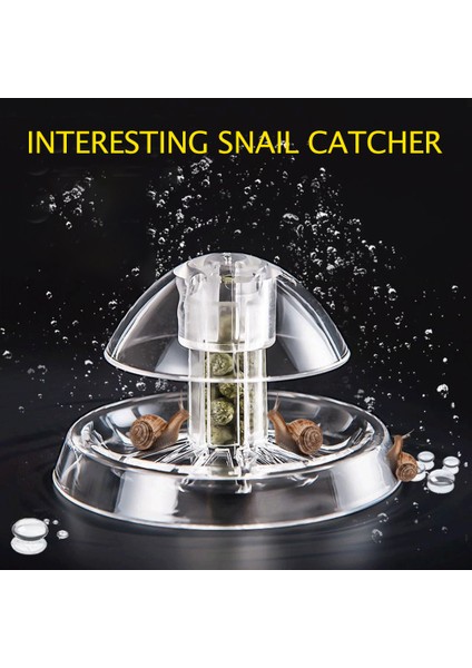 6X6X4CM Tarzı Akvaryum Balık Bitki Salyangoz Temizleme Cihazı Planaria Zararlı Yakalama Sülük Kutusu Şeffaf Tank Salyangoz Tuzak Tutucu Çevre Temizleyici (Yurt Dışından) fiyatları