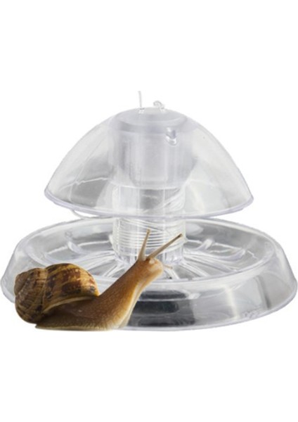 6X6X4CM Tarzı Akvaryum Balık Bitki Salyangoz Temizleme Cihazı Planaria Zararlı Yakalama Sülük Kutusu Şeffaf Tank Salyangoz Tuzak Tutucu Çevre Temizleyici (Yurt Dışından) modelleri