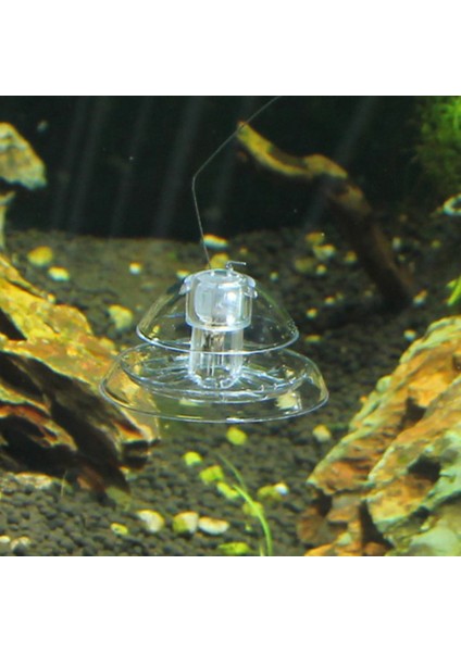 6X6X4CM Tarzı Akvaryum Balık Bitki Salyangoz Temizleme Cihazı Planaria Zararlı Yakalama Sülük Kutusu Şeffaf Tank Salyangoz Tuzak Tutucu Çevre Temizleyici (Yurt Dışından) fırsatları