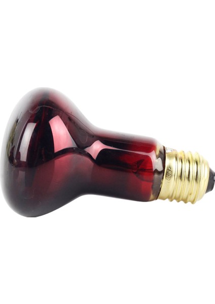 60W Tarzı 60W W E27 Evcil Hayvan Isıtma Lambası Kızılötesi Seramik Isıtıcı Isı Lambası Evcil Hayvan Kümes Sürüngen Lambası LED Kırmızı Sürüngen Gece Lambası (Yurt Dışından)