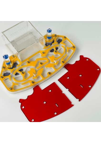 Sarı Stil 24X18X6.5CM Büyük Boy 24*18CM Akrilik Karınca Yuvası Dayanıklı Genişleme Karınca Çiftliği Eğitici Set Karınca Habitat Formikaryum (Yurt Dışından)