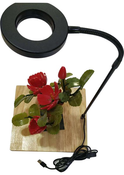 17X18.5CM Tarzı 10W Saksı Bitkileri Yalıtım ile Ahşap Levha Su Geçirmez USB Güçlü Minyatür Peyzaj Akvaryum LED Işık Ev Akvaryumu - (Yurt Dışından)