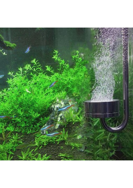 L250 Stili Akvaryum Ultra Ince Paslanmaz Çelik Co2 Diffüzörü Mükemmel Co2 Çözünme Oranı Drogün. (Yurt Dışından)