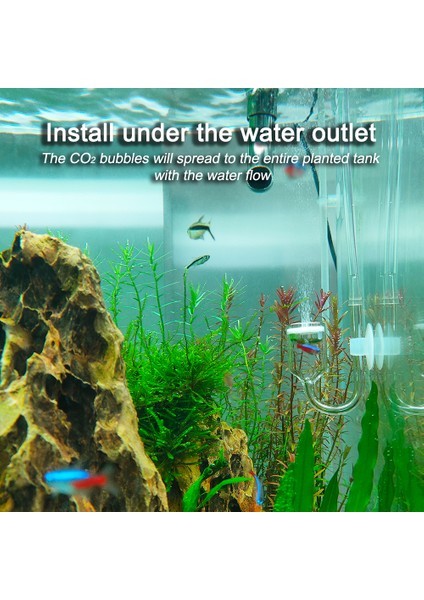 Spiral Co2 Difüzör Stili Akvaryum Bitkili Tank Için Glaral Co2 Diffuser Bubble Counter Co2 Jeneratörü Silindir Akvaryum Aksesuarları Için Diffüzör (Yurt Dışından)