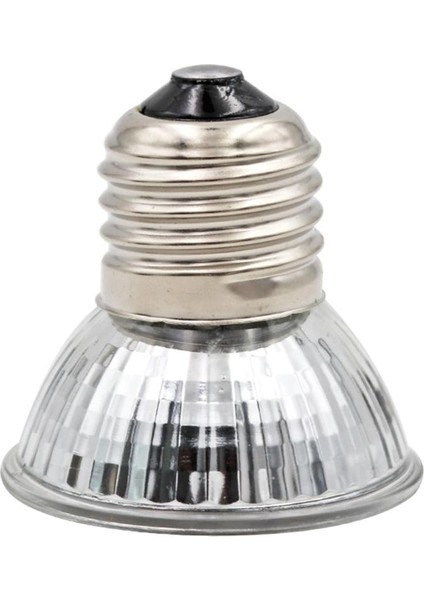 110V 75W Tarzı Sürüngen Lambası Kaplumbağa Kaplumbağa Kertenkele Isıtma Güneş Ampulü (Yurt Dışından)