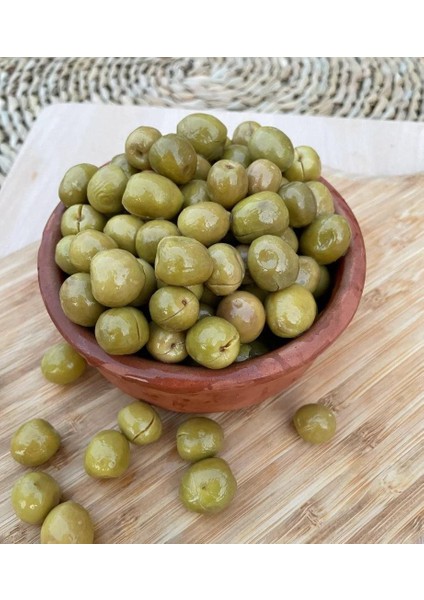 Halhali Zeytin Ağacı Fidanı (Büyük Boy)
