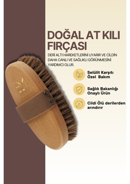 Kadın Sıkılaşma Hücre Yenilenmeye Yardımcı Seülit Karşıtı Doğal At Kılı Fırçası