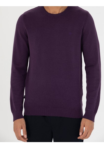 Erkek Mor Slim Fit Bisiklet Yaka Basic Triko Kazak 50270179-Vr038
