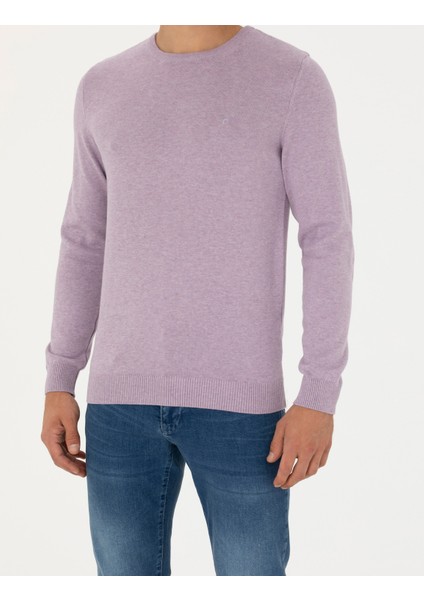 Erkek Lila Melanj Slim Fit Bisiklet Yaka Basic Triko Kazak 50270179-VR231