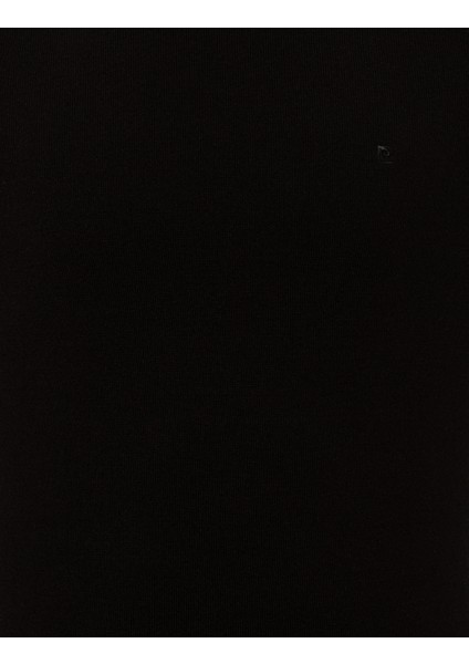 Erkek Siyah Slim Fit Bisiklet Yaka Basic Triko Kazak 50257290-VR046