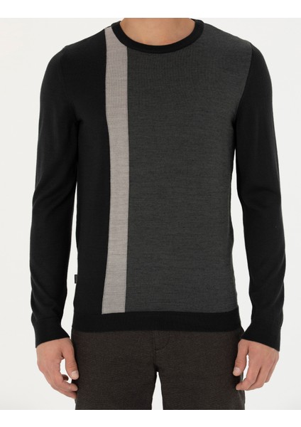 Erkek Siyah Slim Fit Bisiklet Yaka Yün Karışımlı Triko Kazak 50278089-VR046