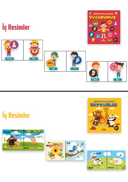 Bebek Gelişimi 6' lı Set - Feyyaz Ulaş modelleri