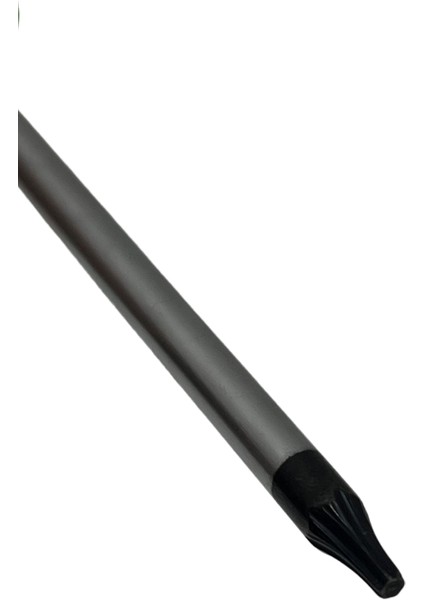 Torx Tornavida T-10