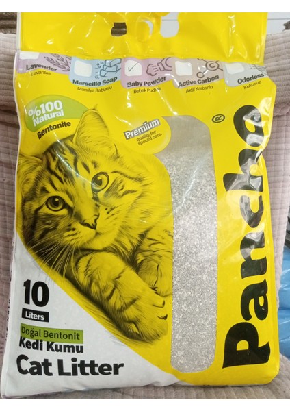 Kedi Kumu