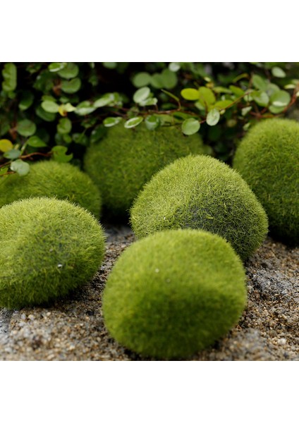 Yeşil Stil 8cm 1 Adet Karınca Çiftliği Dekorasyon Yapay Mini Moss Taşlar Karınca Yuvası Karınca Evi Aksesuarları Karınca Yuvası Atölyesi Için Mikro-Peyzaj Dekor (Yurt Dışından) fiyatları