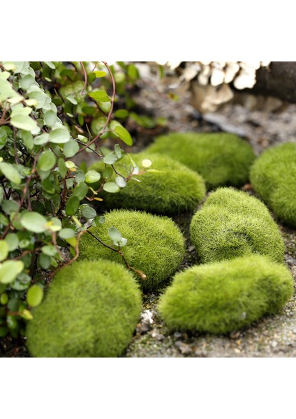 Yeşil Stil 8cm 1 Adet Karınca Çiftliği Dekorasyon Yapay Mini Moss Taşlar Karınca Yuvası Karınca Evi Aksesuarları Karınca Yuvası Atölyesi Için Mikro-Peyzaj Dekor (Yurt Dışından) fırsatları