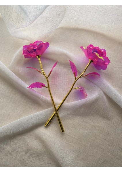 Solmayan Sonsuzluk Gülü