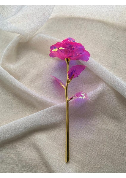 Solmayan Sonsuzluk Gülü fiyatları