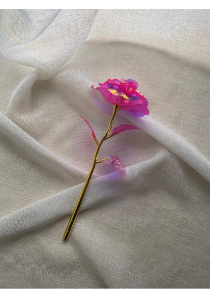 Solmayan Sonsuzluk Gülü modelleri