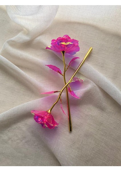 Solmayan Sonsuzluk Gülü indirimleri