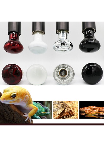 MOR-100W Stili Sürüngen Isıtma Kuzu Amfibi Kuş Yılan Kuzu Kırmızı Işık Gece Kertenkele Kaplumbağalar Için Sıcak Isıtma Yalıtım Lambası Hayvan Aydınlatma (Yurt Dışından) fiyatları